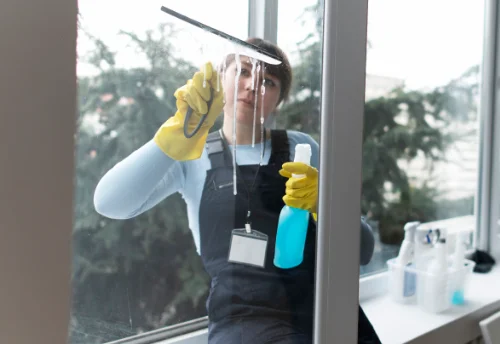 Nettoyage de vitres intérieures et extérieures à Brenouille
